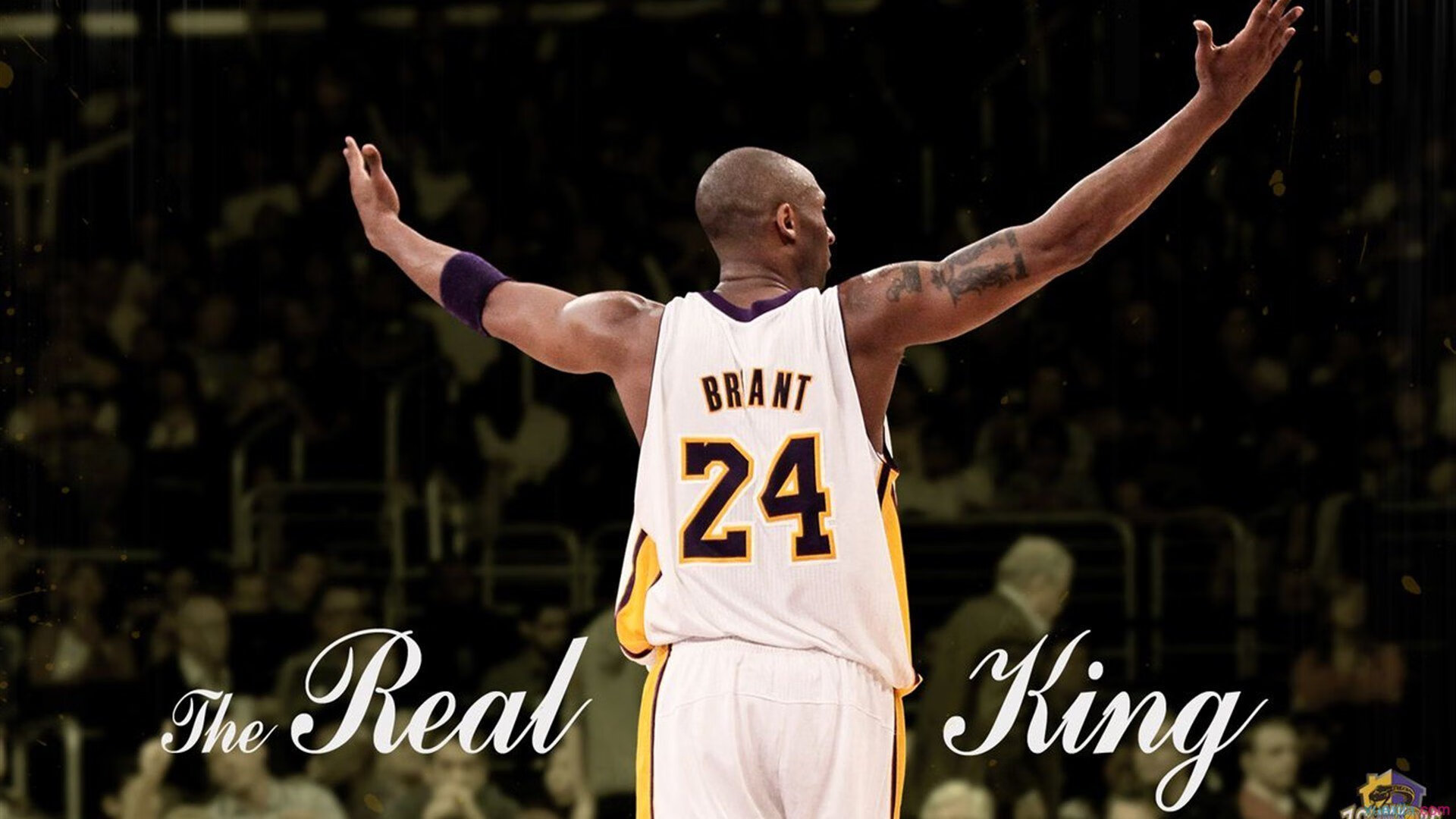 世界围棋大赛柯洁逆袭夺冠，世界围棋冠军柯洁奖金